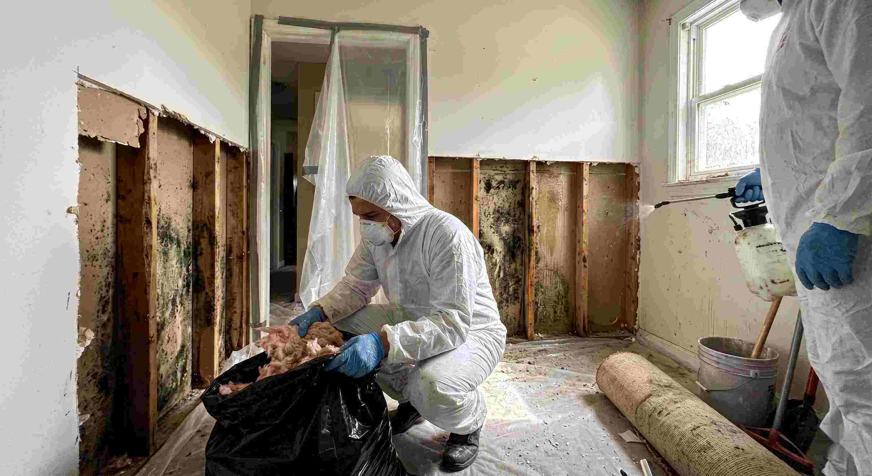 Reliable mold remediation services removing mold behind wall in home in Pembroke Pines